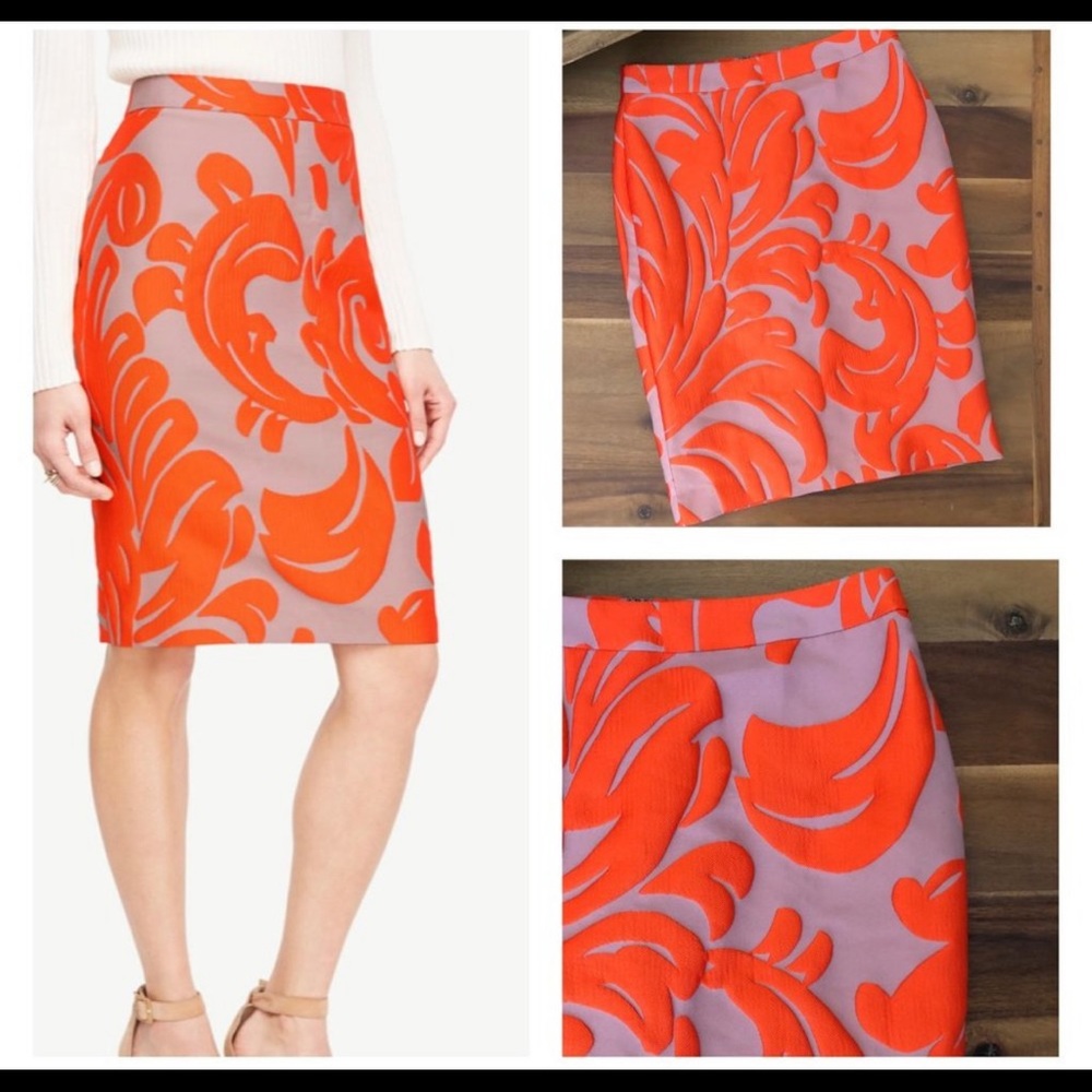 Ann Taylor new skirt